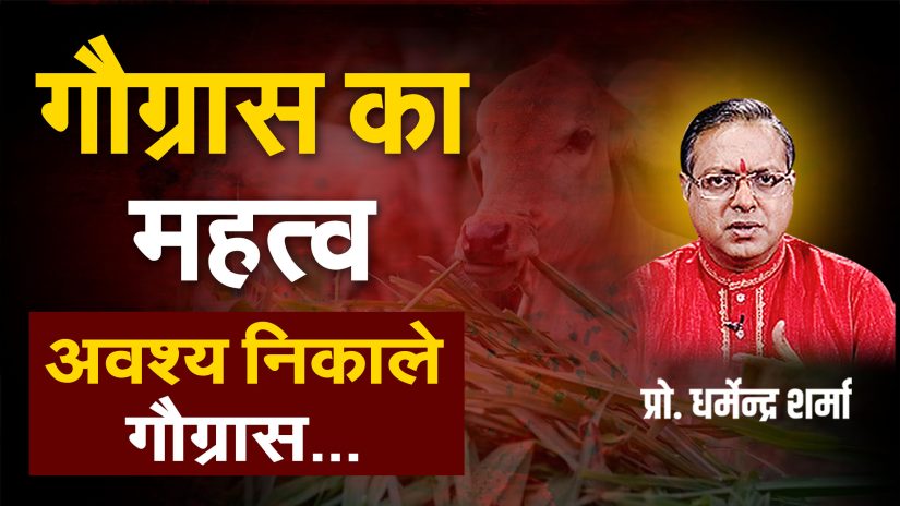 गौग्रास का महत्व | Prof. Dharmendra Sharma