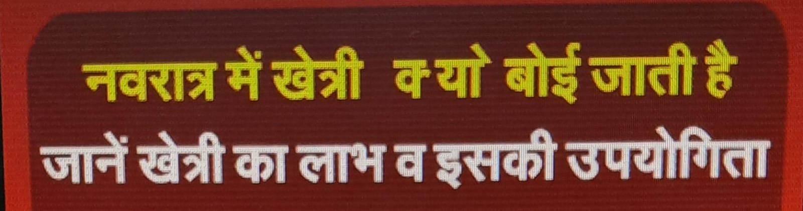 नवरात्र में खेत्री क्यों बोई जाती है जानें खेत्री का लाभ व इसकी उपयोगिता