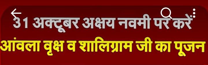 31 अक्टूबर अक्षय नवमी पर करें आंवला वृक्ष व शालिग्राम जी का पूजन