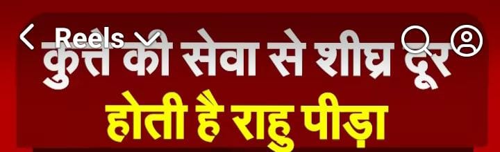 कुत्ते की सेवा से शीघ्र दूर होती है राहु पीड़ा।राहु देगें शीघ्र शुभ फल जाने एक सरल उपाय…